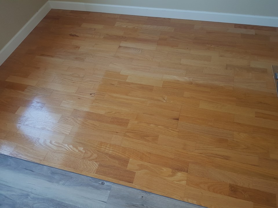 Sun damaged floor